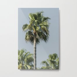 Palm trees on teal sky background Metal Print