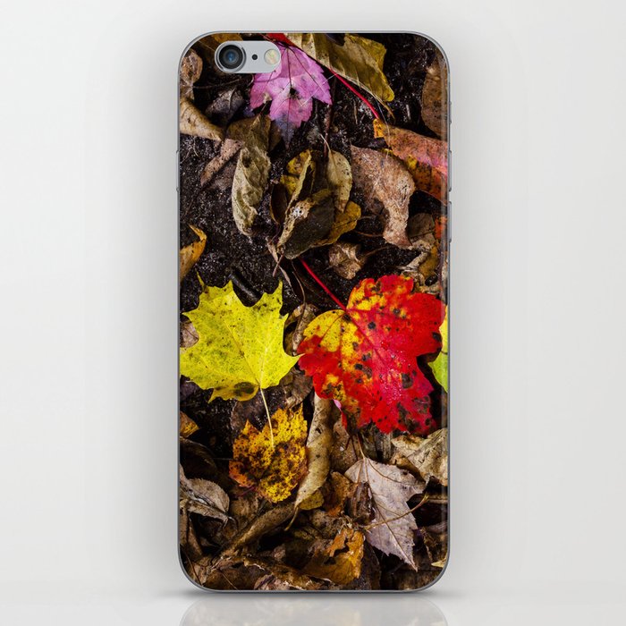 the forest floor iPhone Skin