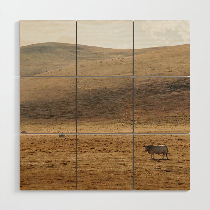 Golden Hour in the Fields | Nature and Landscape Photography Wood Wall Art