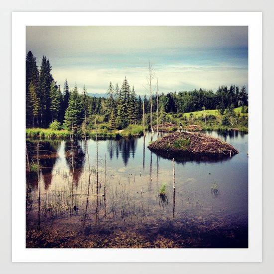Beaver Dam Art Print
