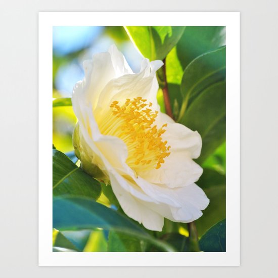 Sunny Art Print