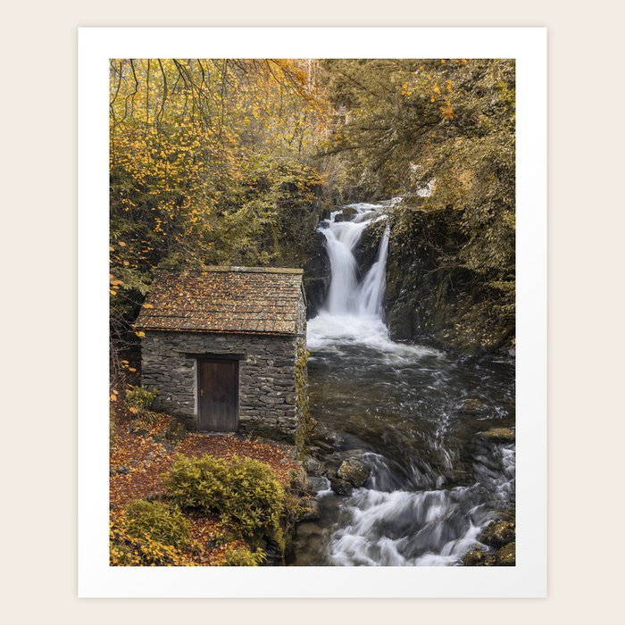 Art Print