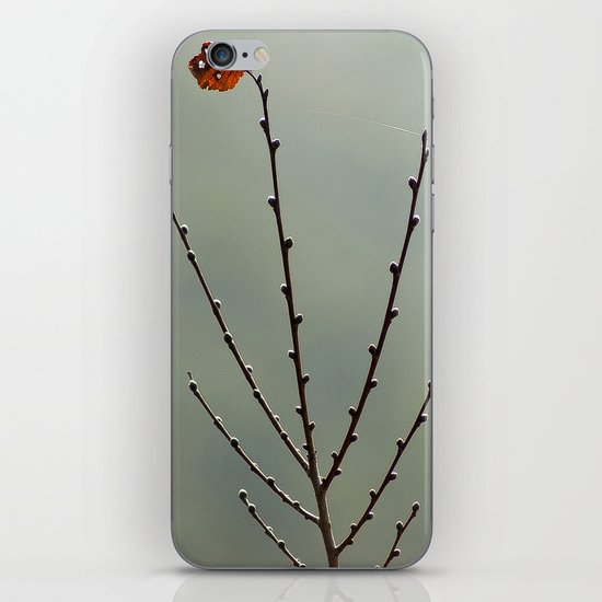 WINTER iPhone & iPod Skin