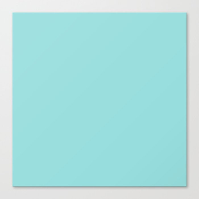 Aqua Shell (Blue) Color Canvas Print