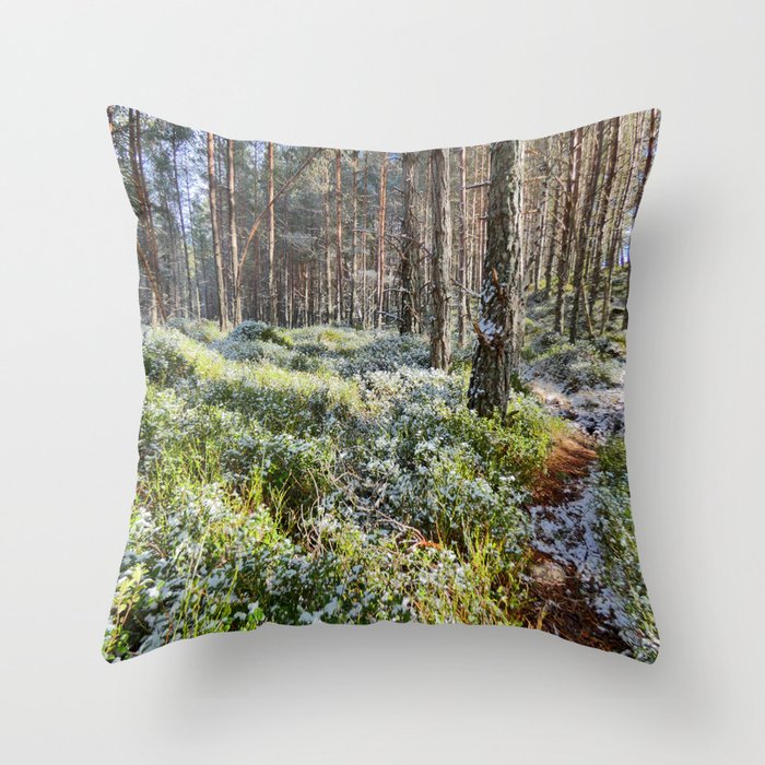 Scottish Highlands Spring Blayberry Nature Path Throw Pillow