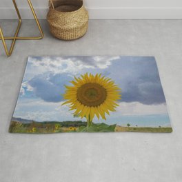 Sunflower Rug | Rosepicture, Plantpicture, Colour, Rose, Floral, Rosespics, Spring, Roses, Rosesphotography, Roseimage 