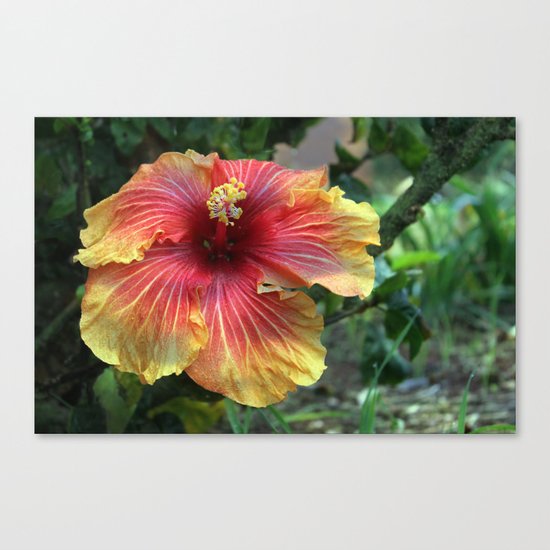 Joy in the Garden Canvas Print