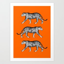Tigers (Orange and White) Art Print