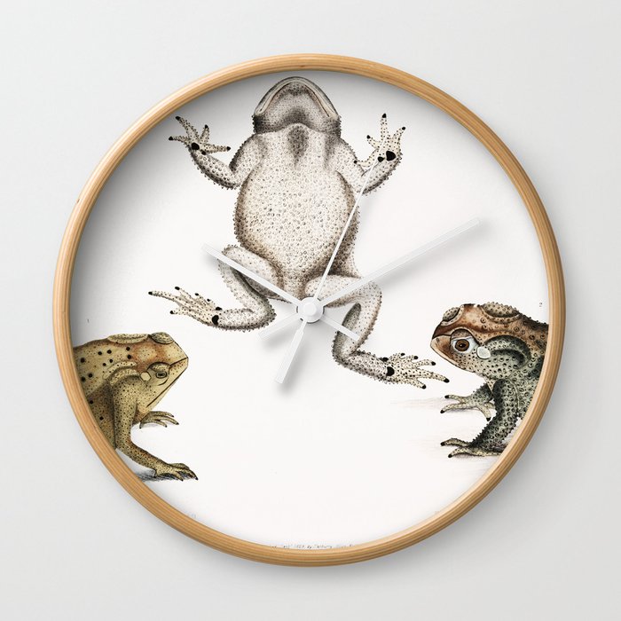 Keeled Nosed Toad & Doubtful Toad  Wall Clock