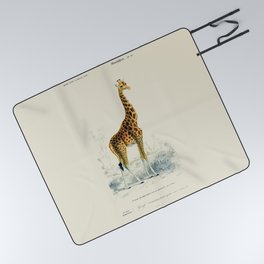 Vintage Giraffe Picnic Blanket