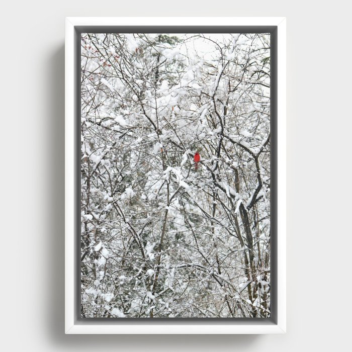 Bright Cardinal in the Snowy Woods Framed Canvas