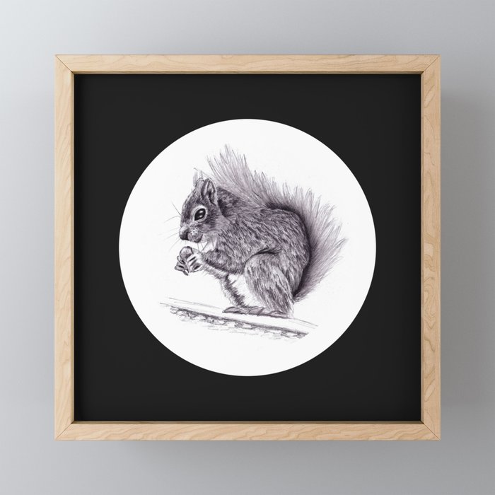 Squirrel Pencil Drawings Framed Mini Art Print