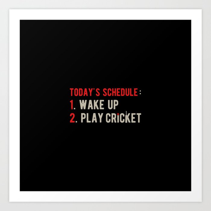 Cricket Funny Quote Art Print