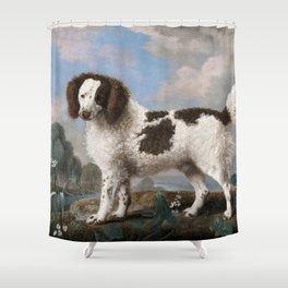 Brown and White Norfolk or Water Spaniel Shower Curtain