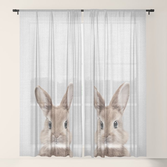 Sheer Curtain