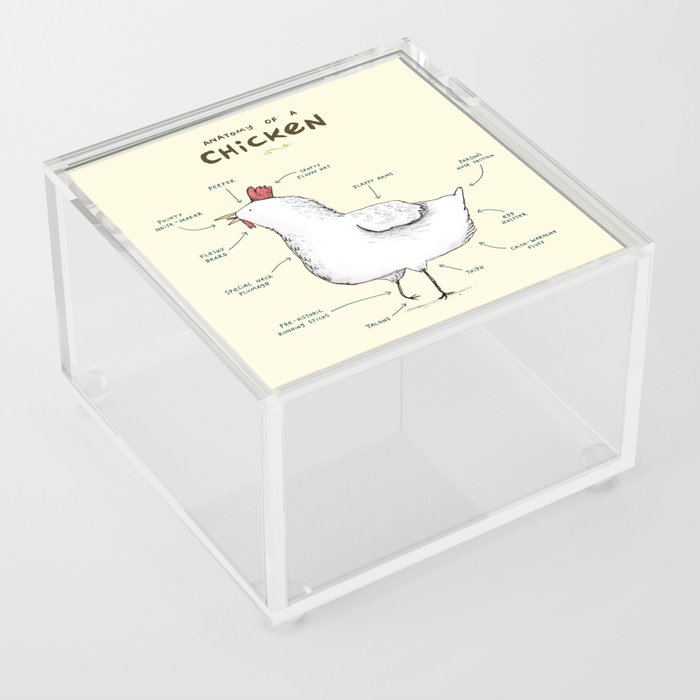 Anatomy of a Chicken Acrylic Box