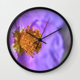 Jara blanca flower. Cistus albidus Wall Clock