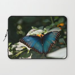 Blue Morpho Butterfly by Andrea Anderegg Laptop Sleeve