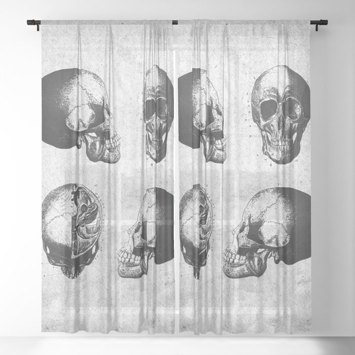 Vintage Medical Engravings of a Human Skull Sheer Curtain