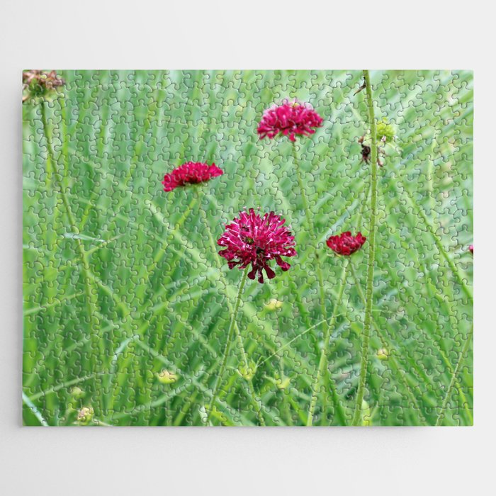 Beautiful Magenta Flower in the Meadow Jigsaw Puzzle