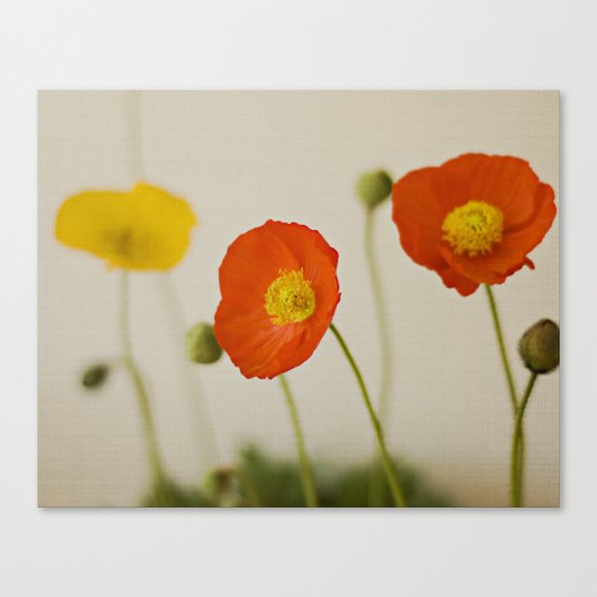 Orange Poppy Bloom Red Green Yellow Flower Canvas Print