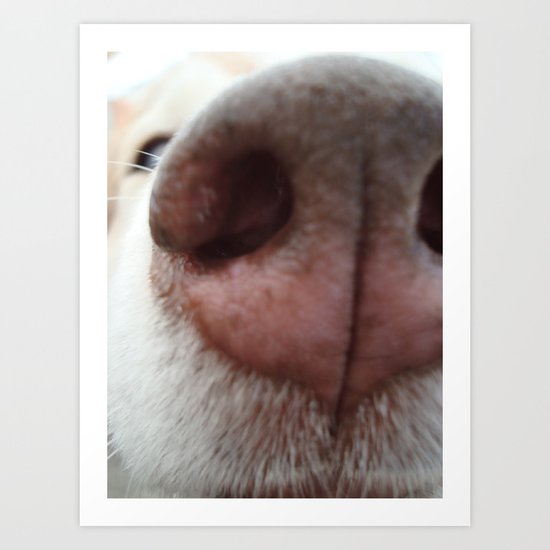 Sniff-Sniff Art Print
