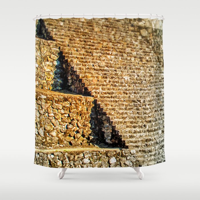 PATTERNS OF HISTORY Shower Curtain