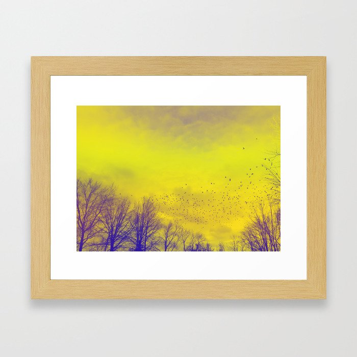WARM TREES 1 _ keep the warm from the colors of fall Framed Art Print