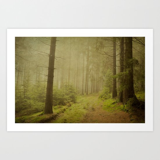 december woods Art Print