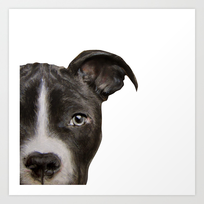 society6
