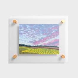 Pink and Blue Sunset Over a Farm Floating Acrylic Print