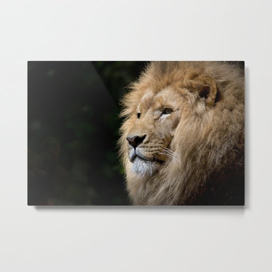 King Metal Print