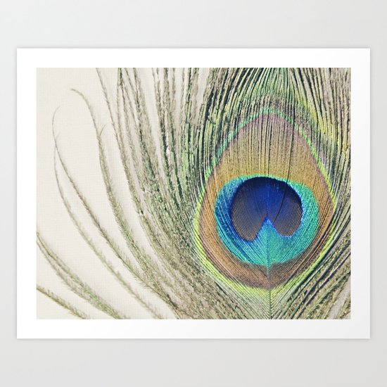 Peacock Feather No.2 Art Print