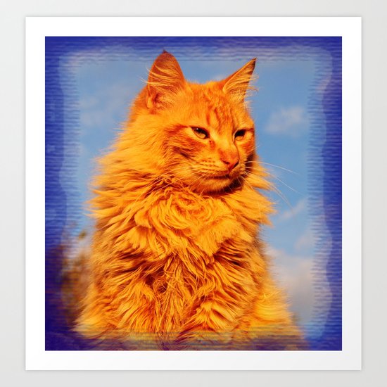Red cat in the blue Art Print