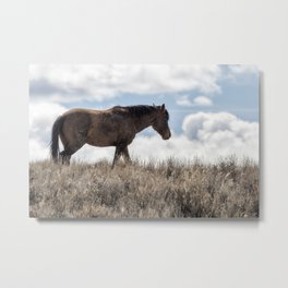Going Places Metal Print | Mane, Fineart, Spring, Coat, Mammal, Photo, Walking, Eastoregon, Hill, Outdoors 