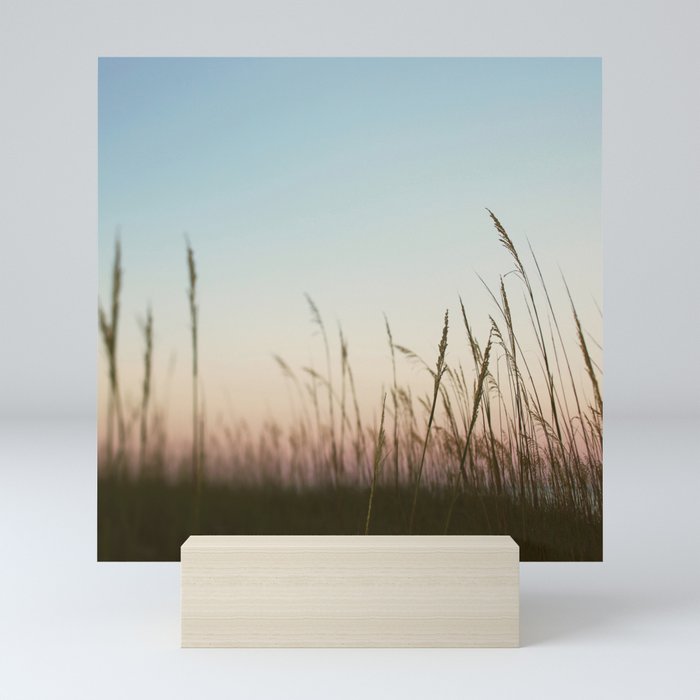 Sea Grass Mini Art Print