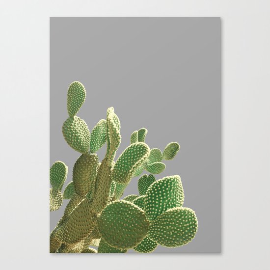 Minimal Cactus Canvas Print