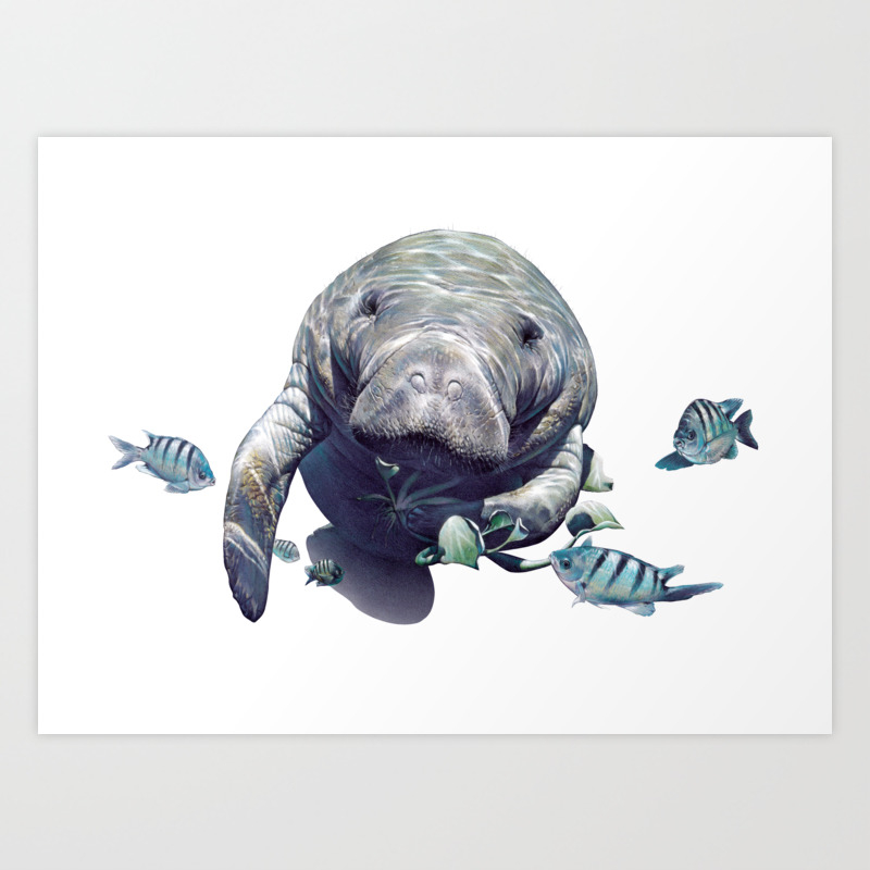 Manatee Art Print by Salmoneggs | Society6