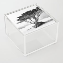 CARMEL-BY-THE-SEA Acrylic Box