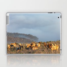 Elk Cow Herd Laptop Skin