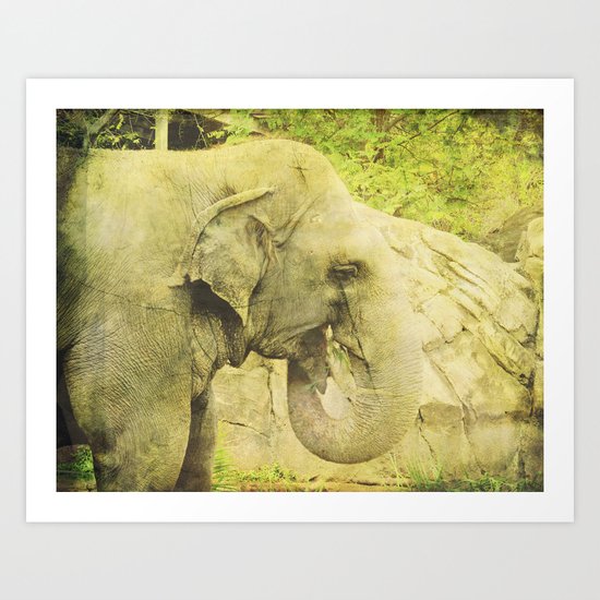 The Elephant Art Print