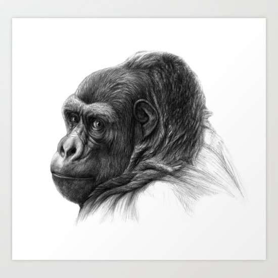 Gorilla G038b schukina Art Print