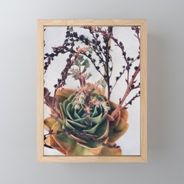 Cactus flower Framed Mini Art Print