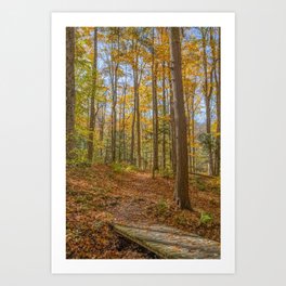 Autumn Forest in Mustard and Rust Art Print