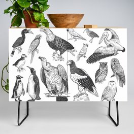 Birds of wildlife set. Eagles, owls, parrots, pelican, penguins, ibis, puffin isolated on white background. Tropical, exotic, water birds. Black white illustration. Vintage. Vintage. Realistic graphics Credenza