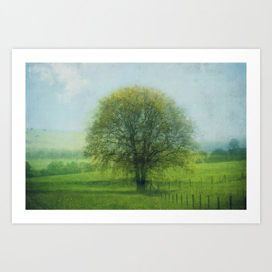 15 x oak Art Print