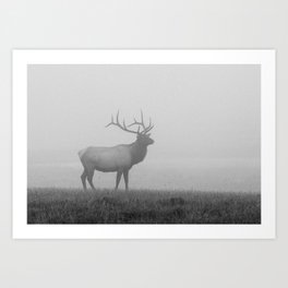 Grainy Fog Elk Black and White Yellowstone National Park Dark Moody Hunting Weather Wild Animal  Art Print