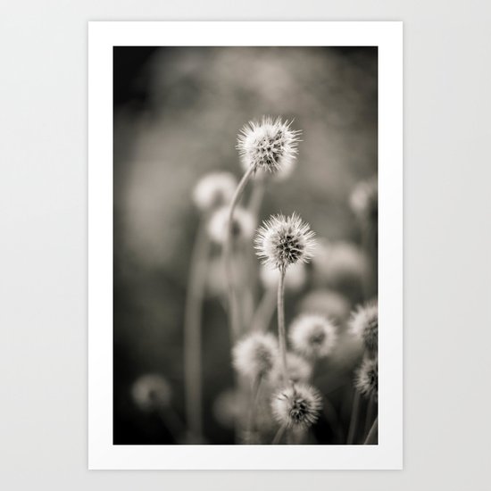 >>> Art Print