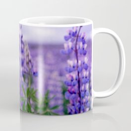 Icelandic lupine flowers Coffee Mug