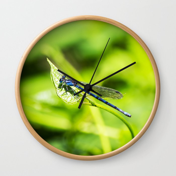 dragonfly Wall Clock